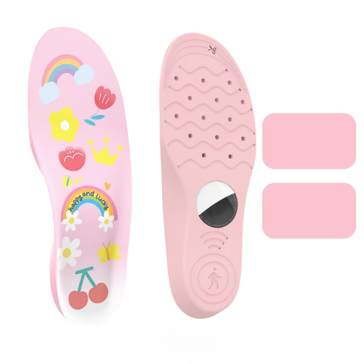Shoe Insole with Hidden Air-Tag Holder