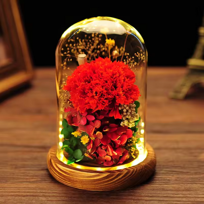 Cúpula de cristal de flores preservadas con luces LED