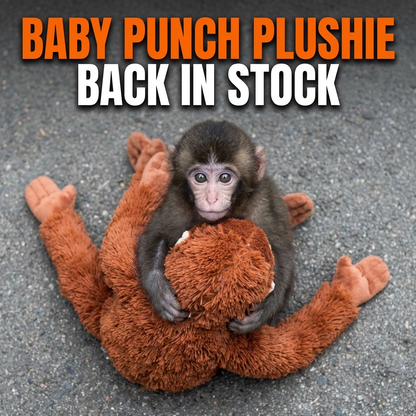 Baby Punch Plushie