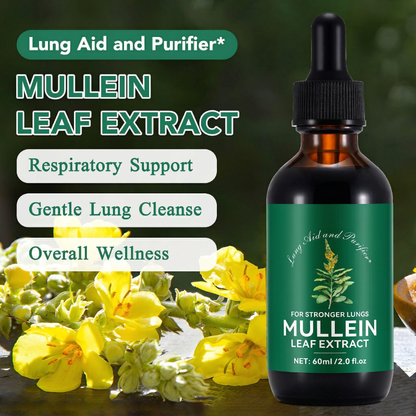 Mullein Leaf Chlorophyll Drops