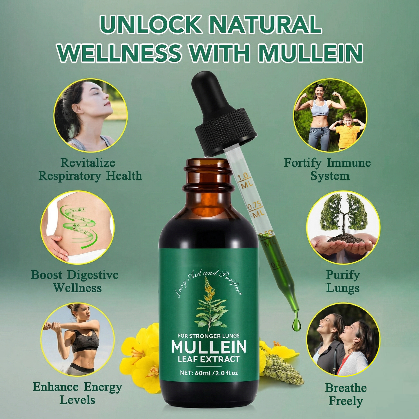 Mullein Leaf Chlorophyll Drops
