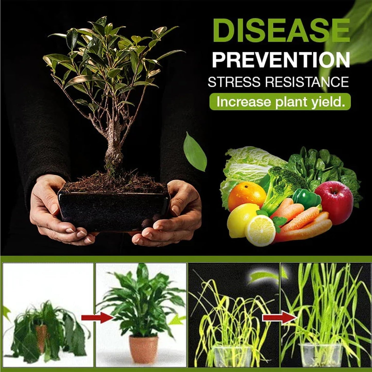 Organic Soil Pro Activator