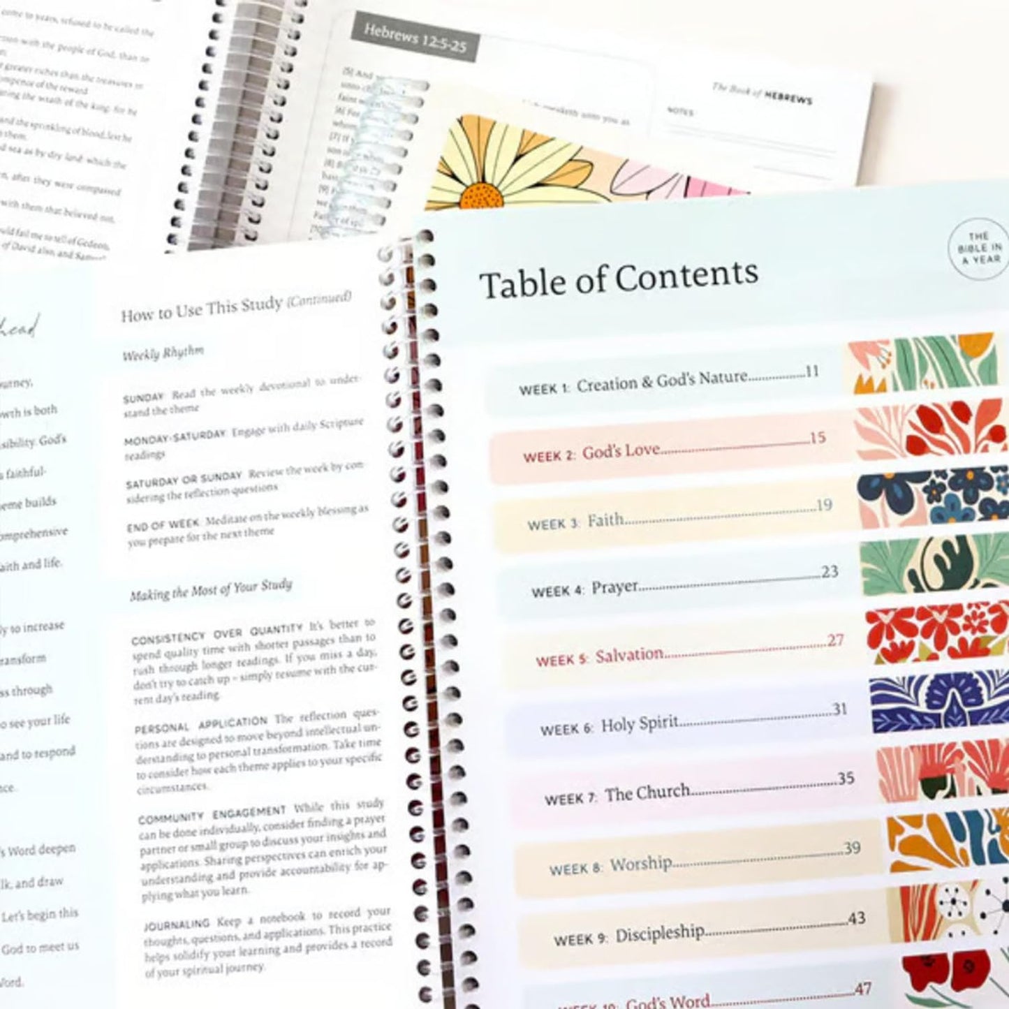 Bible in a Year Study Guide - Walk By Faith Bundle