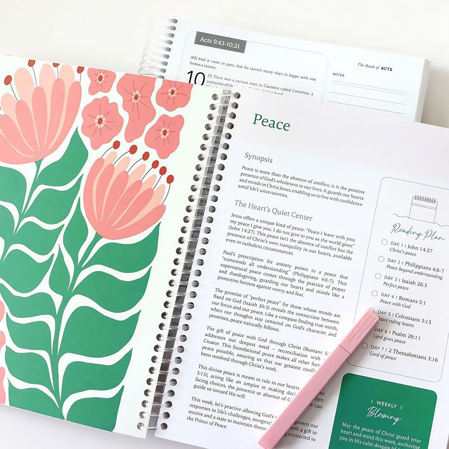 Bible in a Year Study Guide - Walk By Faith Bundle