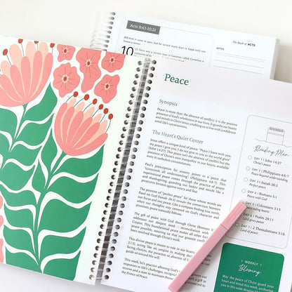 Bible in a Year Study Guide - Walk By Faith Bundle