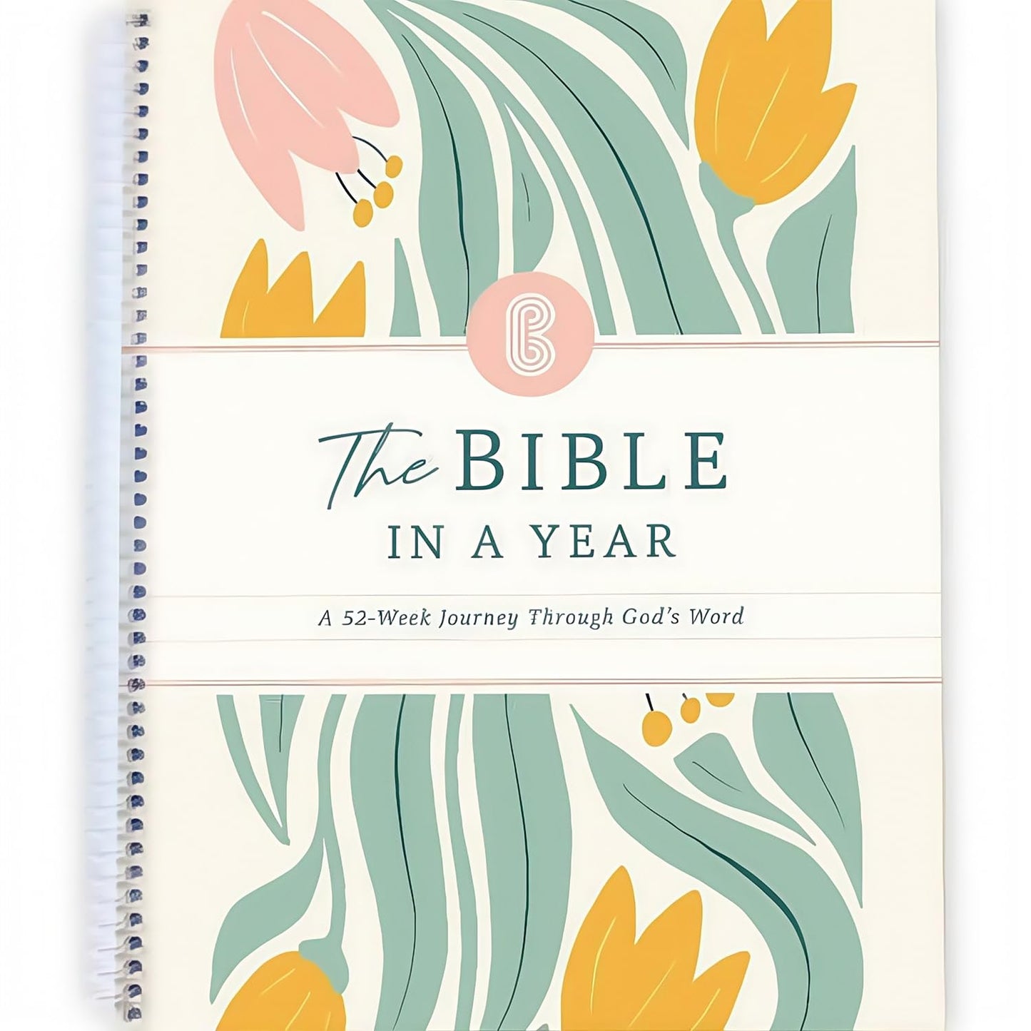 Bible in a Year Study Guide - Walk By Faith Bundle