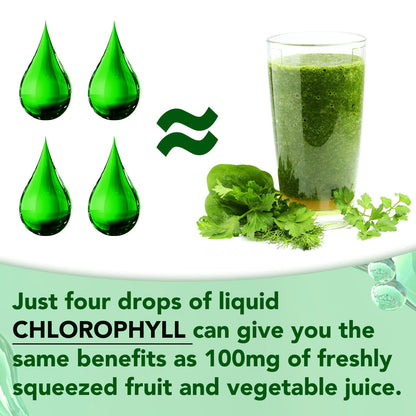 Acentiallabs Original Liquid Chlorophyll Drops – 100% Natural Vegan High Potency – Supports Digestion, Gut Health & Internal Deodorant