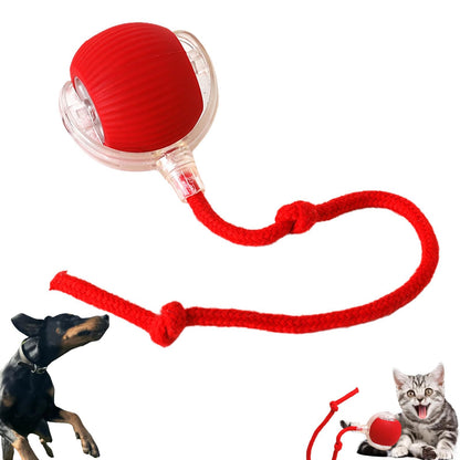 Bola de Brinquedo Automática Interativa para Cão e Gato - Recarregável, Mastigável, Auto-Rolante