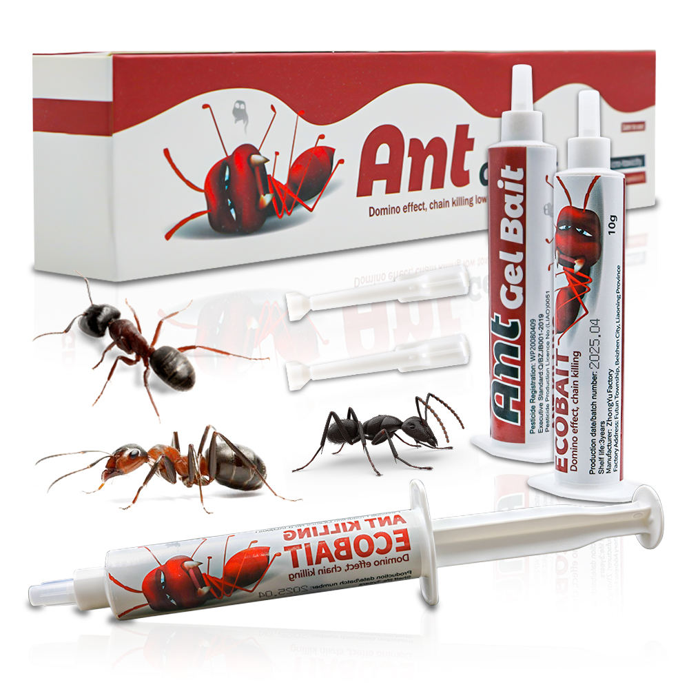 Advanced Ant Bait Gel Trap - 10g Syringe