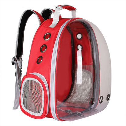 Mochila Transparente e Respirável para Animais de Estimação - Transportadora de Viagem Expansível para Cães e Gatos Pequenos