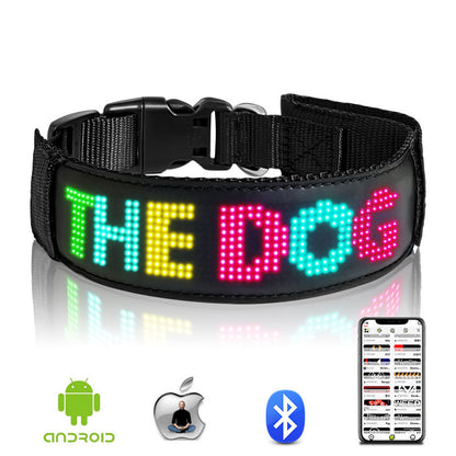 Programmable Waterproof LED Dog Collar Light – USB Rechargeable