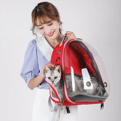 Mochila Transparente e Respirável para Animais de Estimação - Transportadora de Viagem Expansível para Cães e Gatos Pequenos