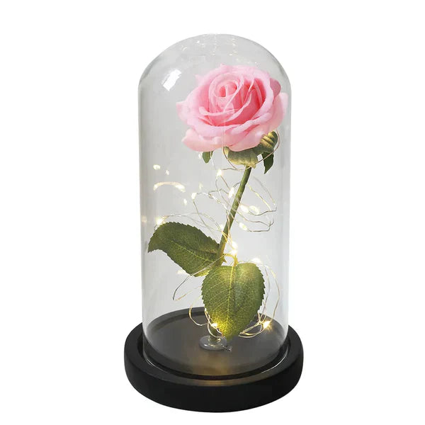 Rosa Eterna Galaxia